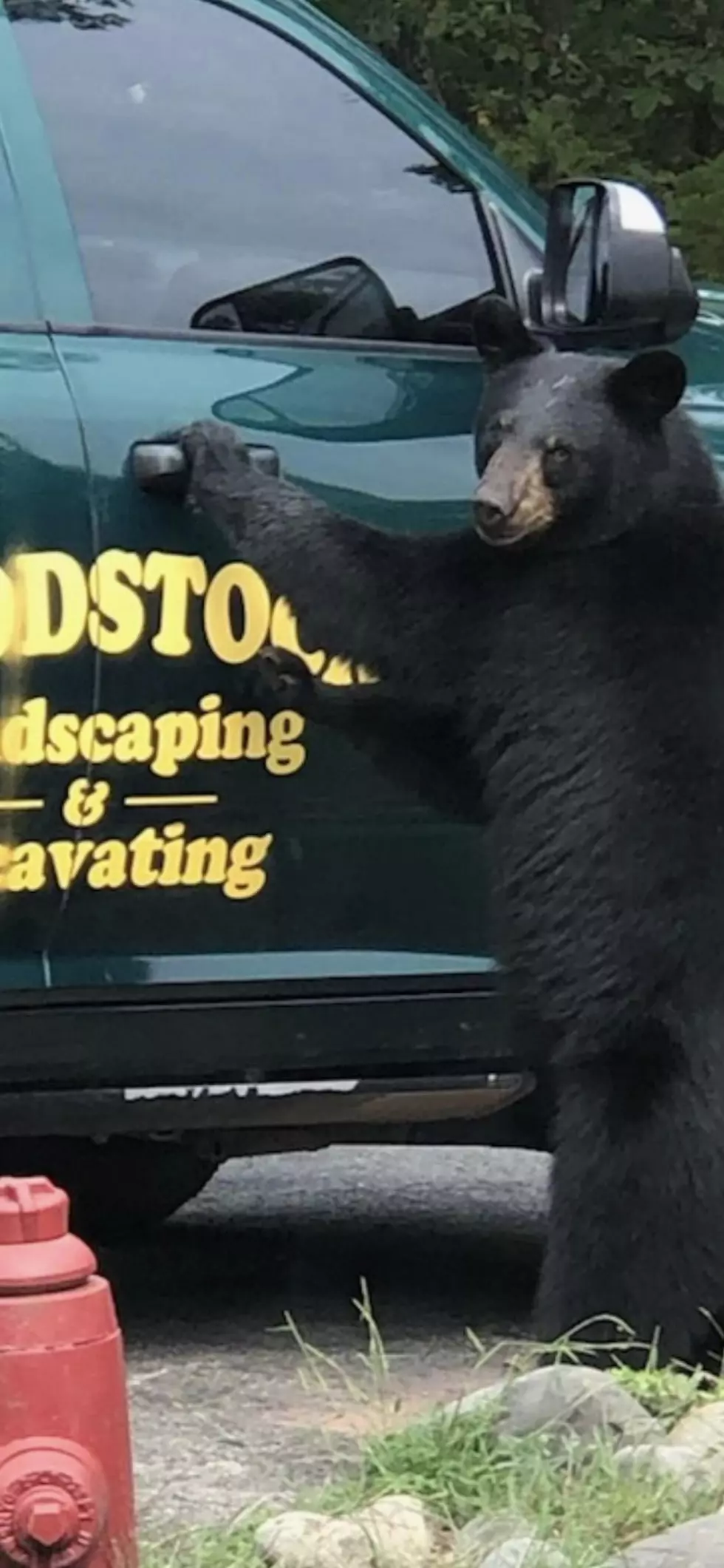 Woodstock Landscaping, Facebook