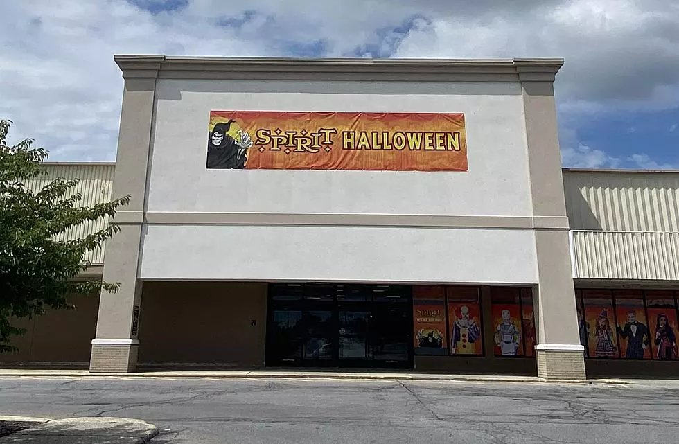 Full List of Spirit Halloween Locations Across The Hudson Valley