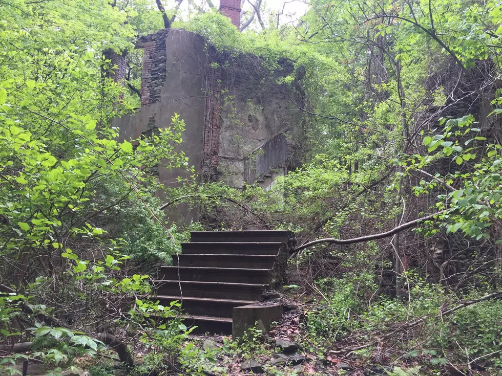 Franny Reese State Park/Jbuono