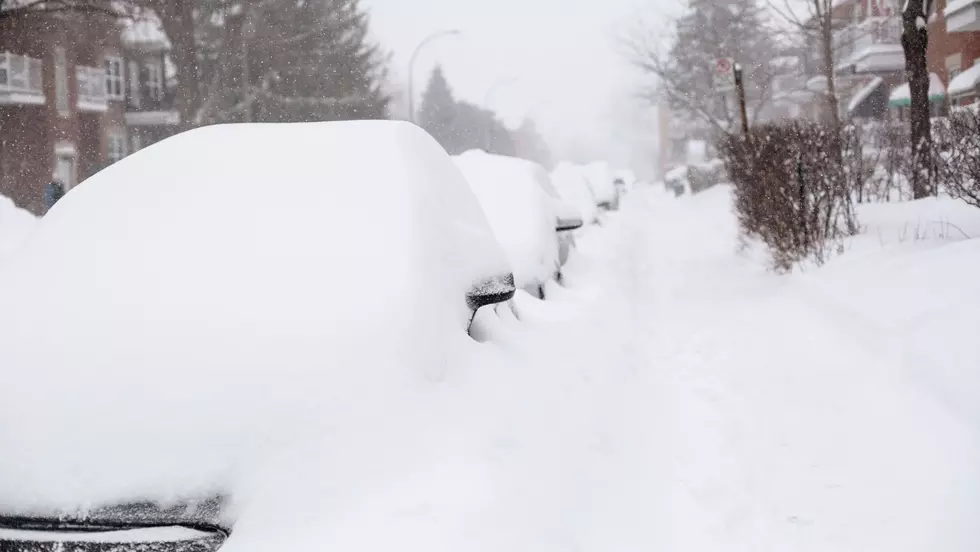 Remember the Historic Halloween Hudson Valley Snowstorm of 2011?