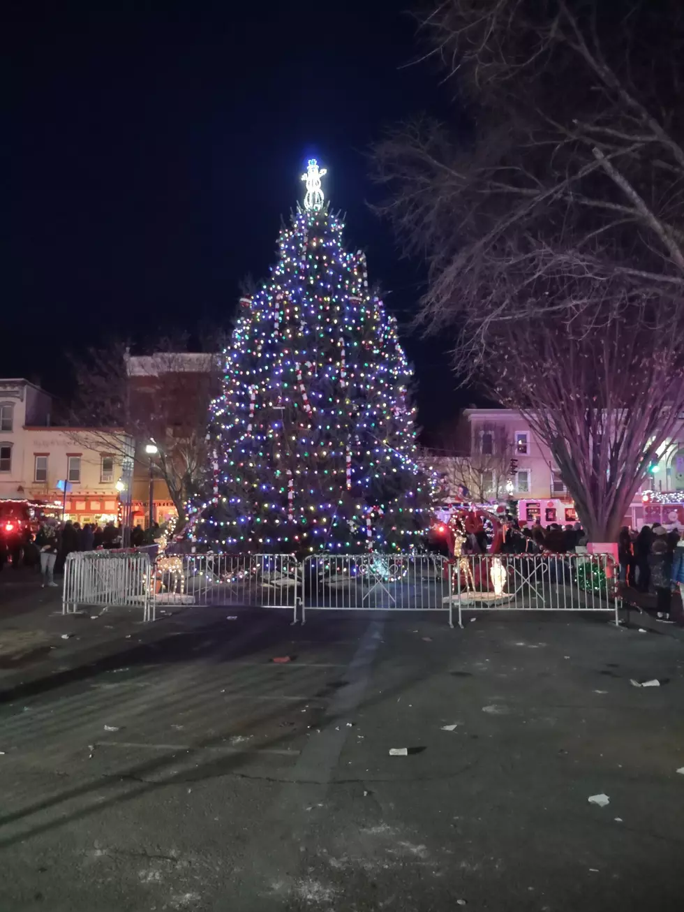 Christmas Tree Needed in the Village of Saugerties New York