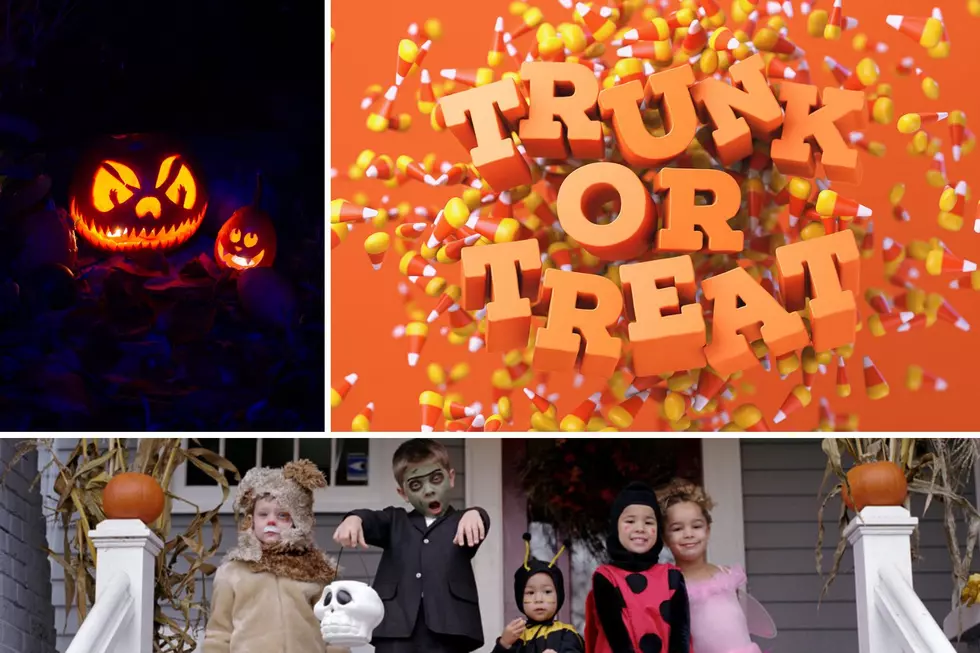 How To Find Hudson Valley Trunk Or Treats Near You