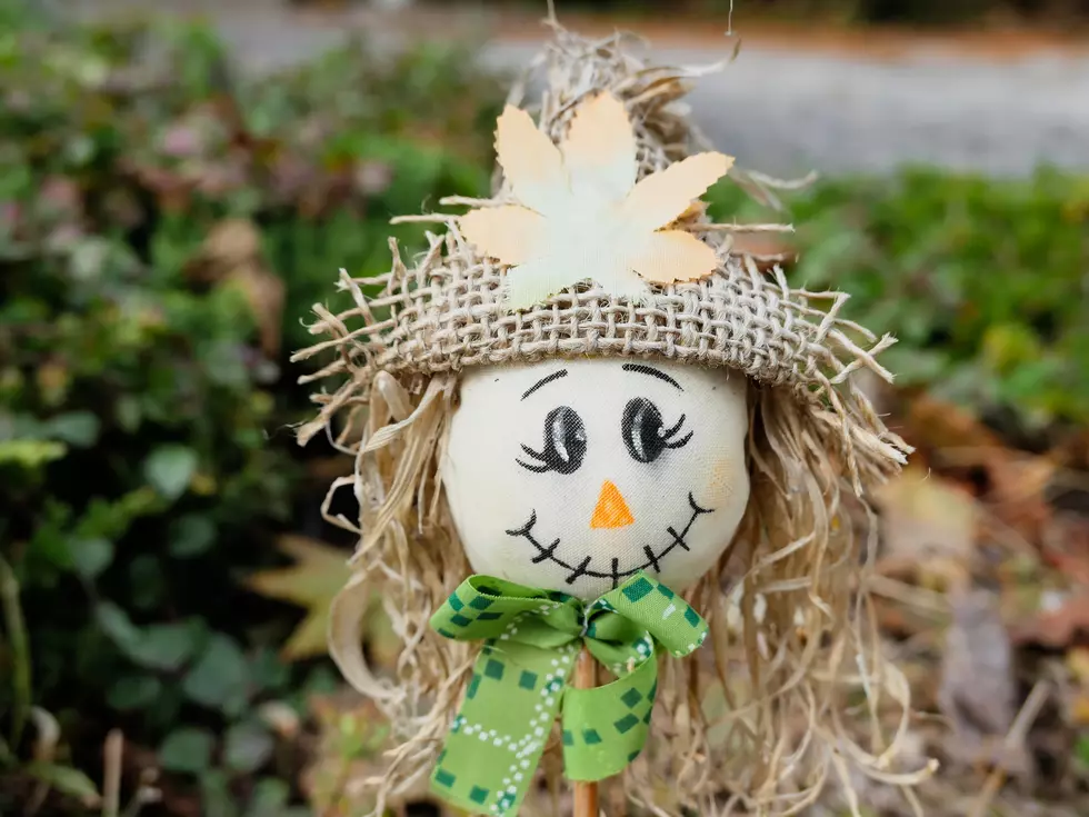 Homemade Scarecrows to be Displayed in Kingston, NY