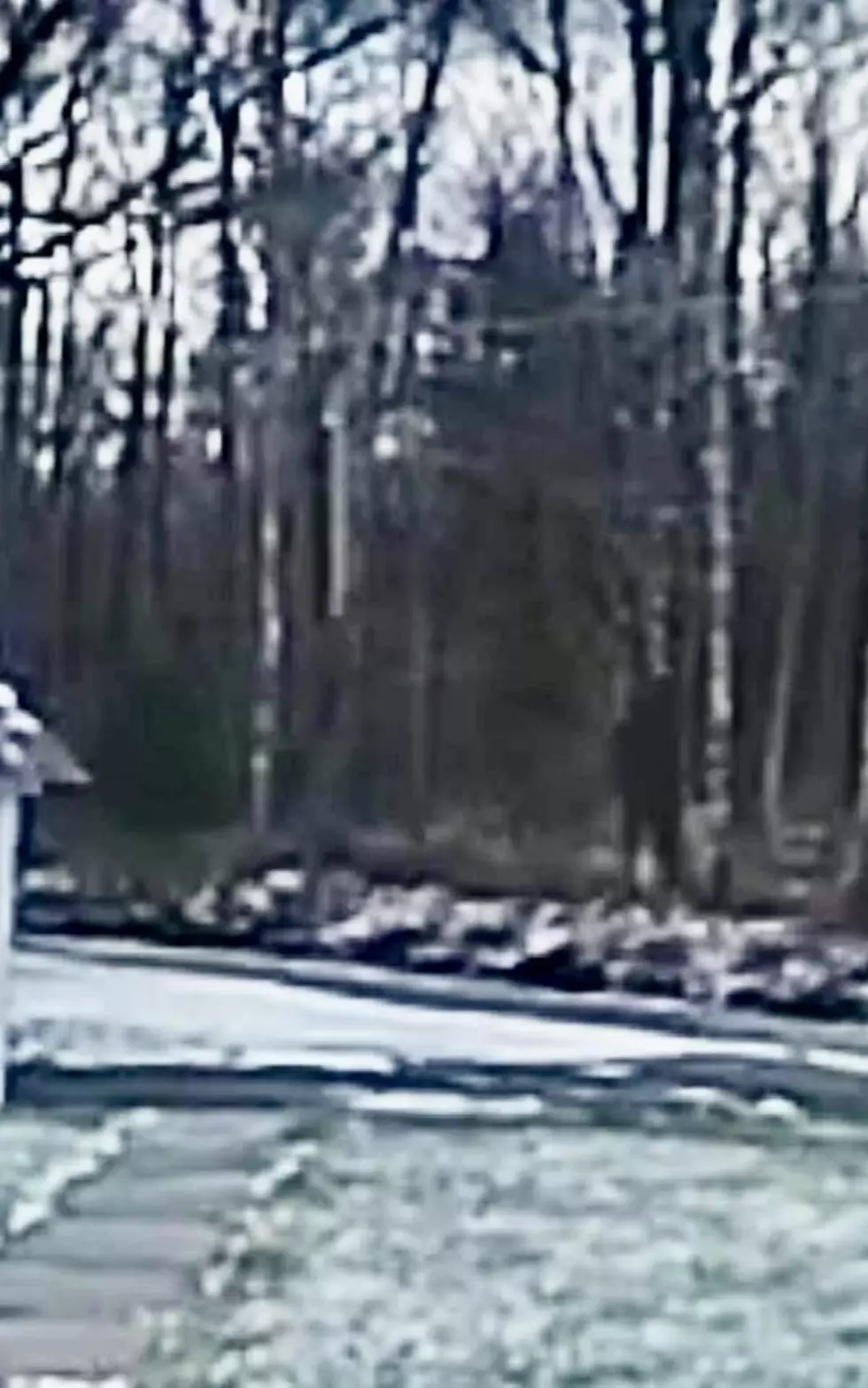 Bigfoot Researchers of The Hudson Valley/Facebook