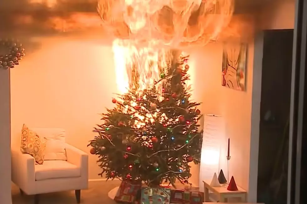 Tenga en cuenta estos consejos de seguridad para árboles de Navidad en esta temporada navideña