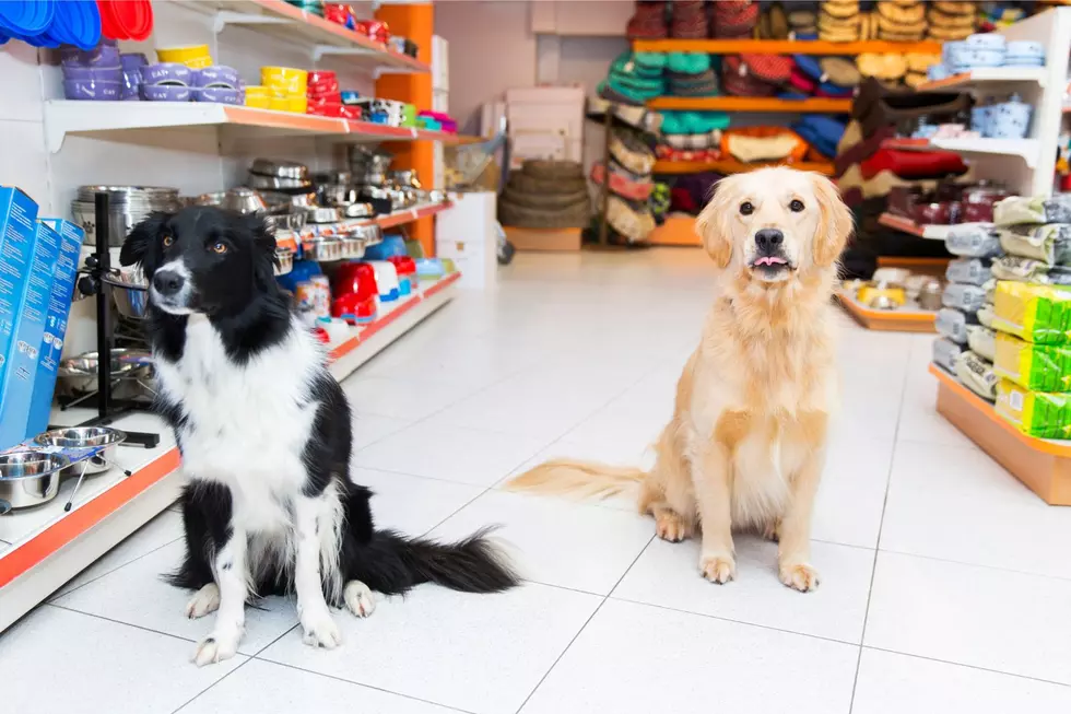 Deceiving Poughkeepsie Pet Store Sold Sick Pets, Forced To Pay Big