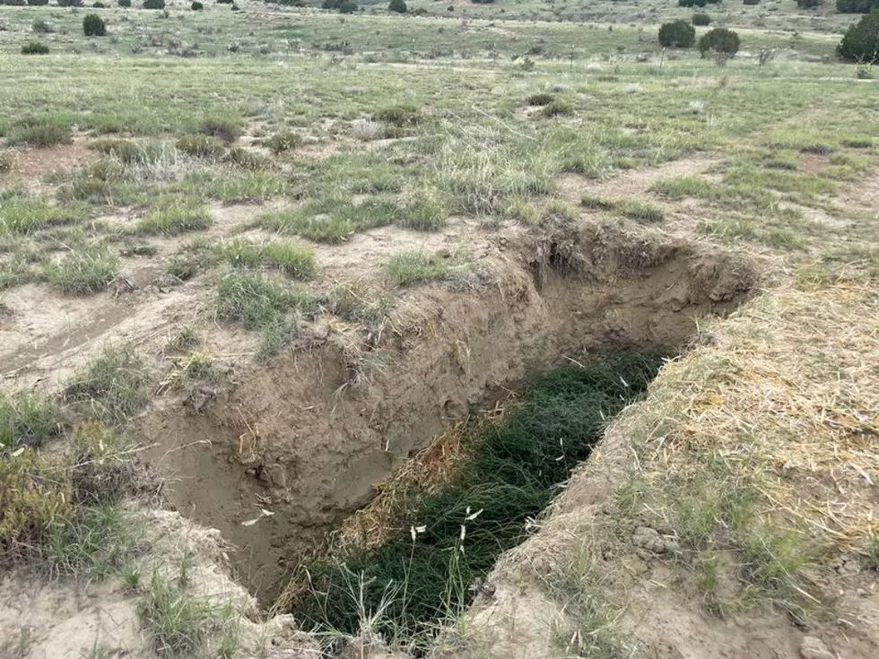 Green Burial Council via Facebook 4