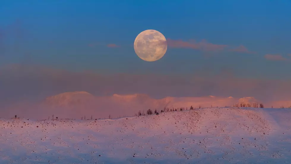 Celebrate the Cold at the Snow Moon Festival in Saugerties, NY