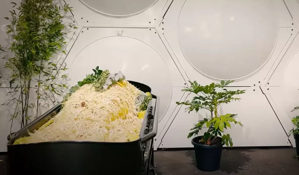 Terramation: The Newest Form of Burial for New Yorkers