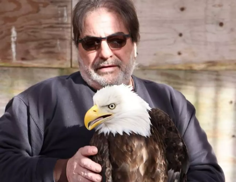 Friends of the Feathered and Furry Wildlife Center via Facebook