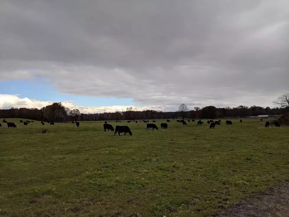 Hudson Valley Grass Fed Beef via Facebook