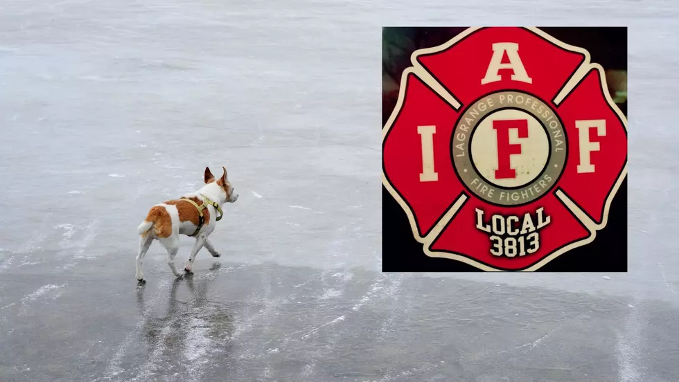 LaGrange Firefighters Rescue Dog, Humans After Fall Through Ice
