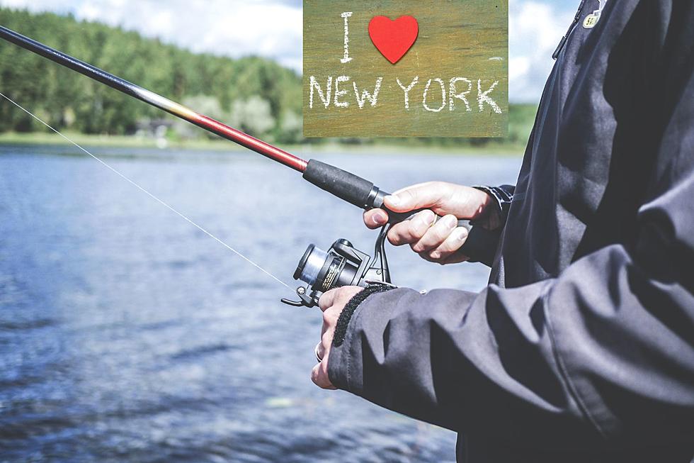 FREE Freshwater Fishing Days In New York