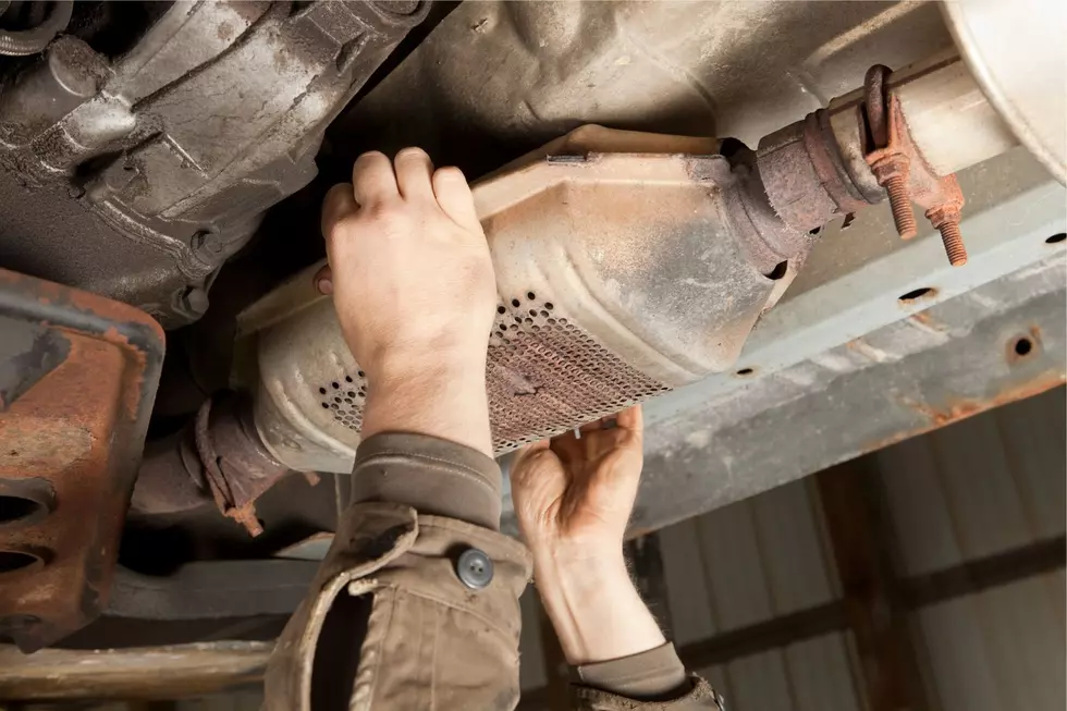 Man Run Over! Warning to Hudson Valley Catalytic Converter Thieves