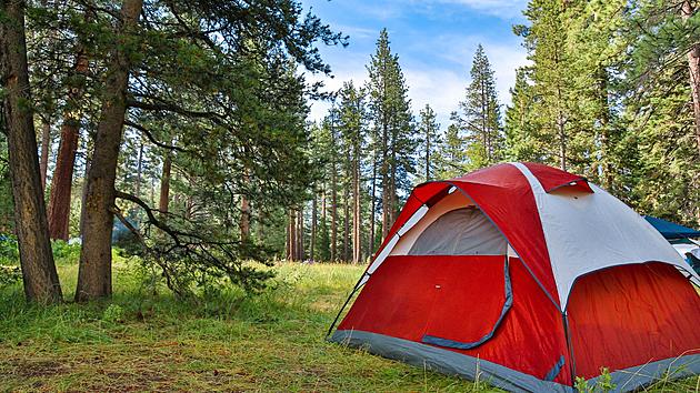DEC Shares Exciting New Same-Day Camping Reservation Changes