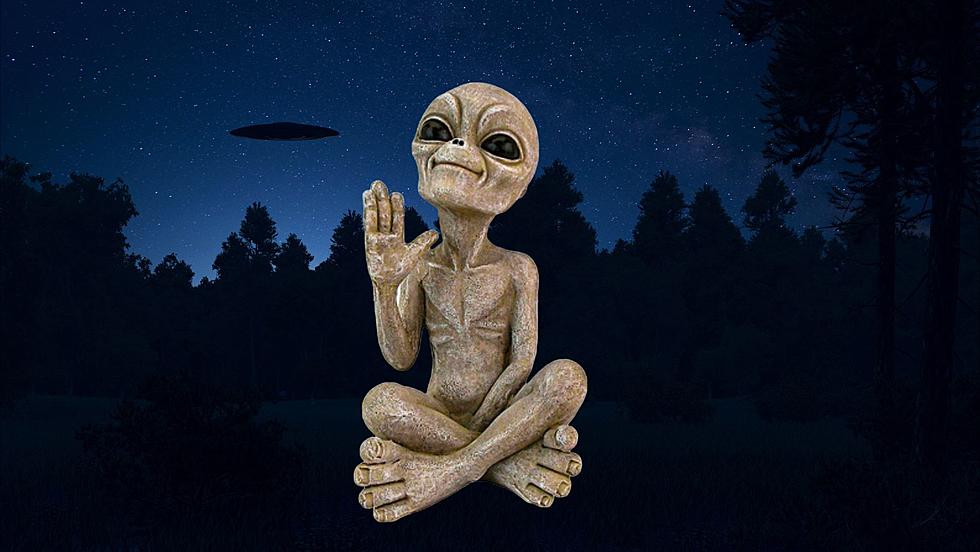 Extraterrestrial Fans Rejoice! The Pine Bush UFO Fair is Back in June