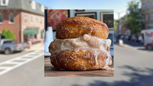 Kingston, NY Café Brings Back Sweet Donut Ice Cream Combo