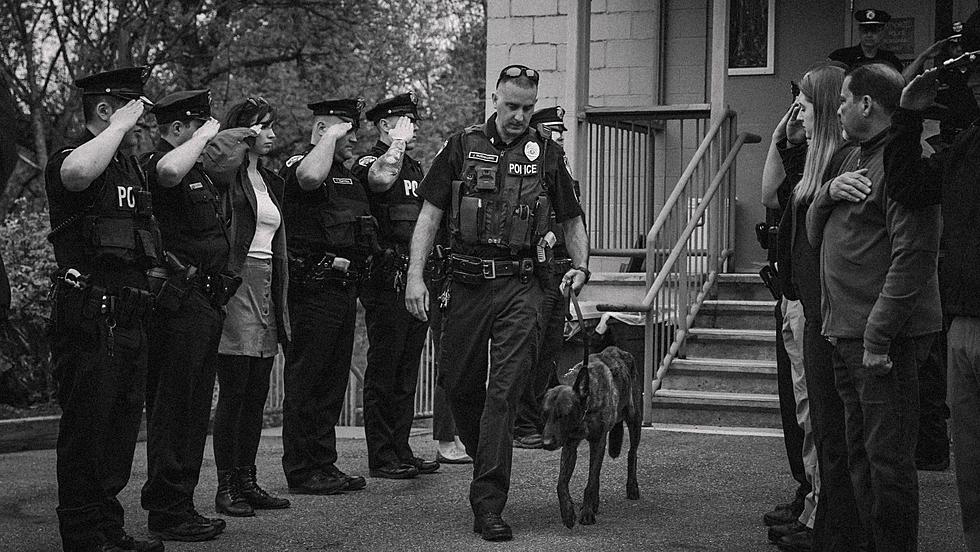 Saugerties Police Departments Says Emotional Goodbye to K9 Max