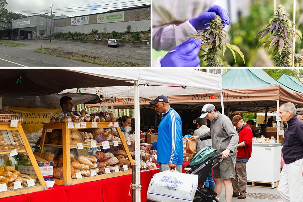 HV Marijuana Farms Want to Sell Weed at New York Farmers' Markets