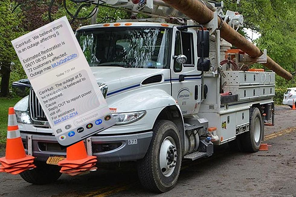 Power Outage In Wappingers Falls Caused By Interesting ‘Thing’