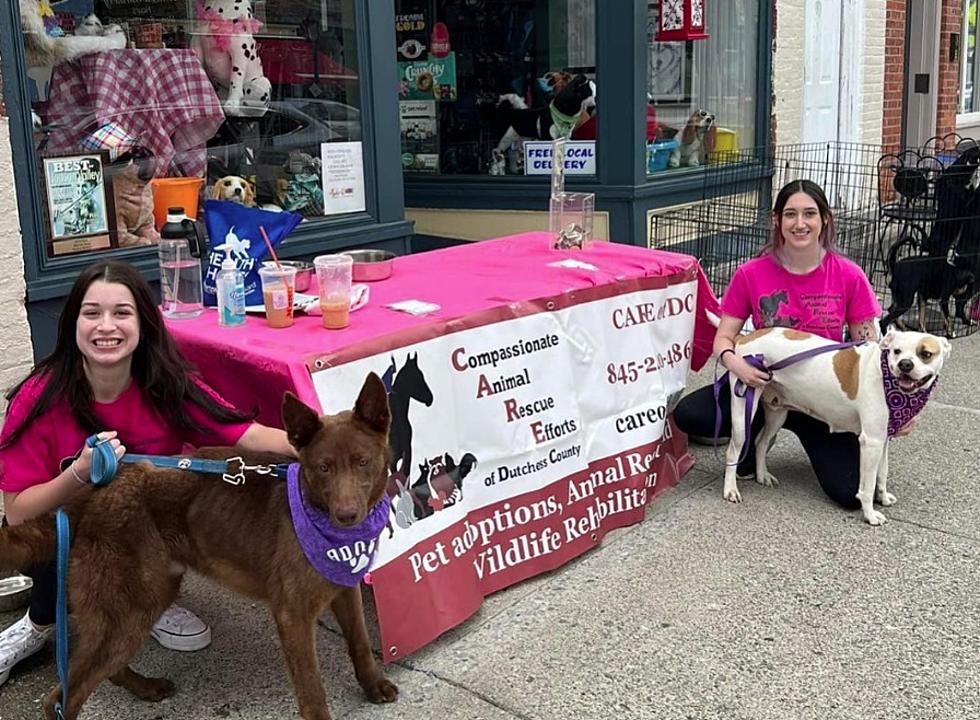 Wappingers Falls, NY Animal Rescue recibe una subvención de $20,000 de Petco Love