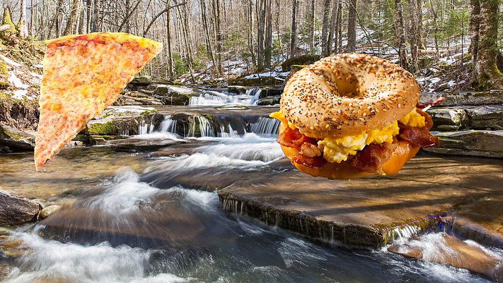 NYC Bagels and Pizza Have Catskill, NY Water to Thank