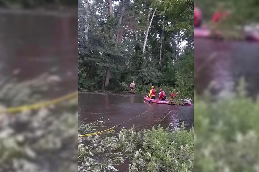 New York Man Trapped on a Log in Dutchess County