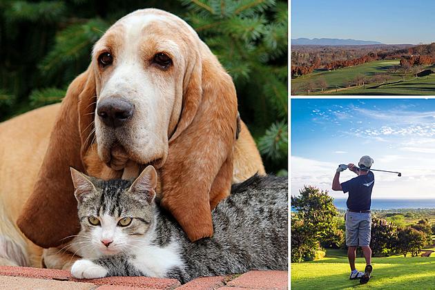 Highland New York Golf Course Helps Ulster County SPCA