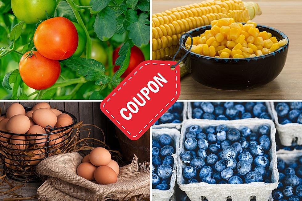 Seniors Offered Farm Market Coupons by Ulster County New York