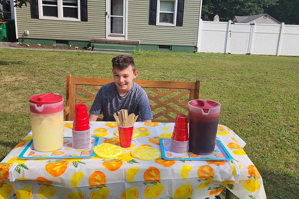 Lemonade Stand in Fishkill, New York has Everyone Wanting More