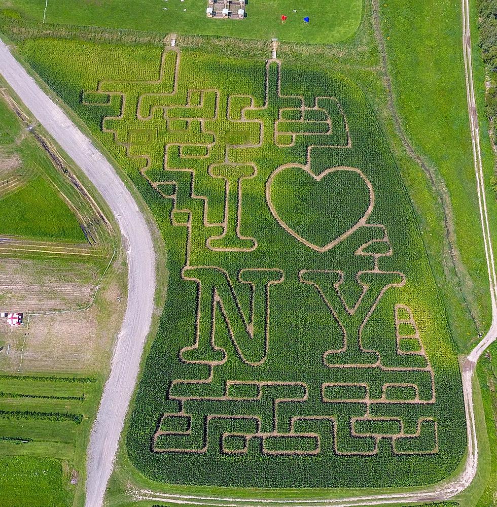 Kerhonkson Farm Shows Love For New York With Corn Maze Design