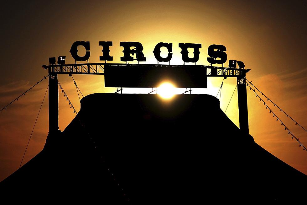 Popular Outdoor Circus is Coming to Ulster County, New York