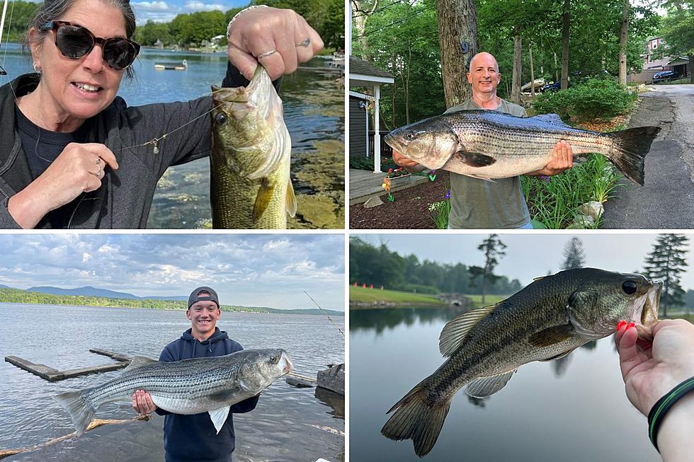 People Show off their Catch to Win with Kenco in Kingston, New York
