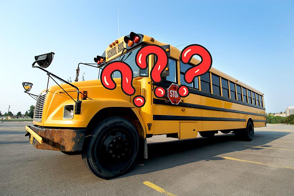 Hudson Valley School Buses Have a &#8216;Secret&#8217; Message on Them