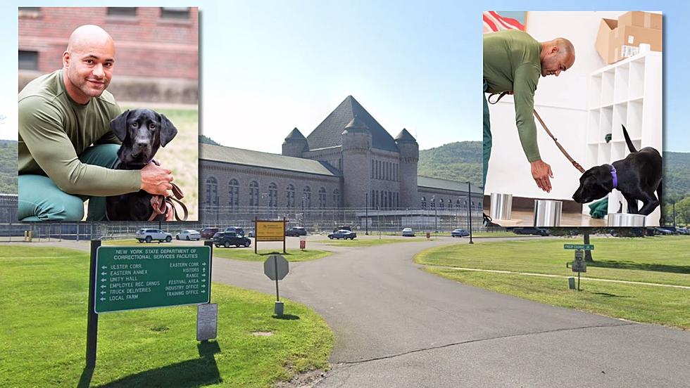 Puppies Behind Bars Pairs Dogs with Inmates at Napanoch, NY Jail