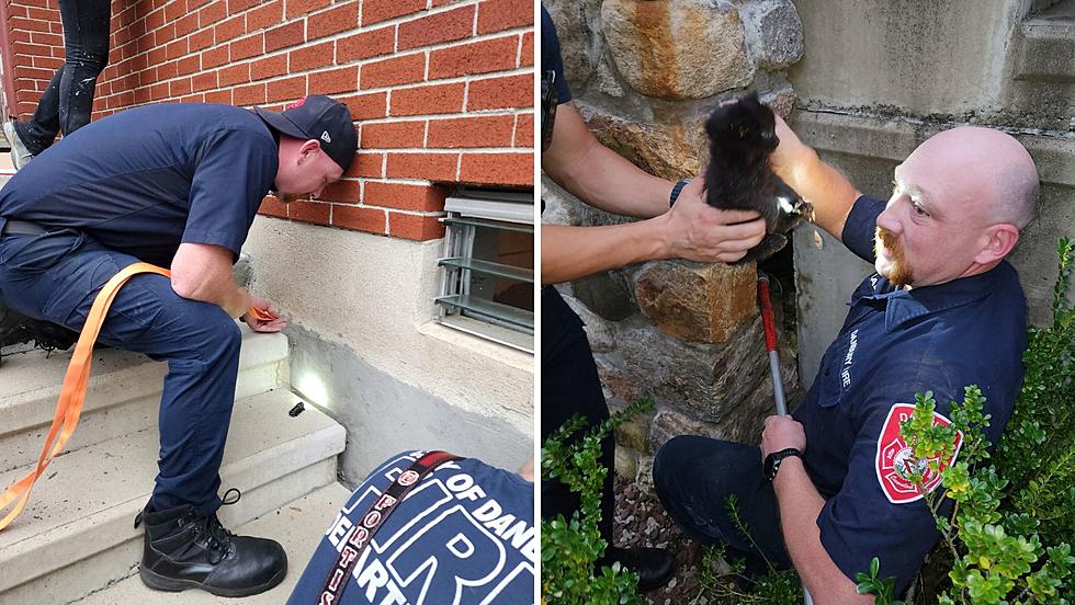 Danbury, CT Firefighters Rescue 2 Small Kittens Stuck in Between Concrete Wall