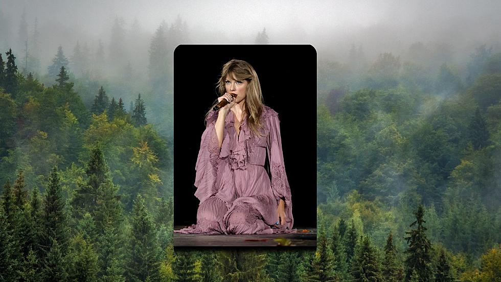 The NYS DEC Shares Forest Safety Tips with a Taylor Swift Twist