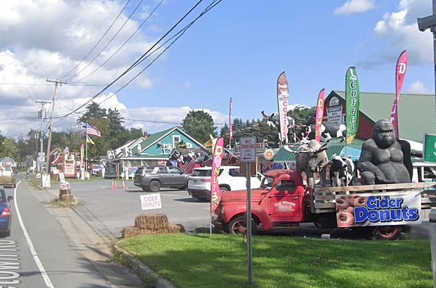 Is This The Most Unique Roadside Souvenir Shop in New York?