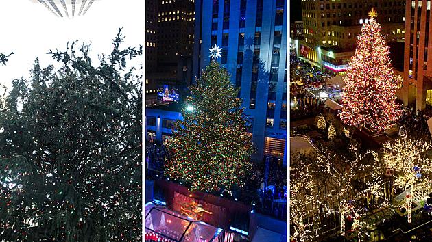 A Look Back at 20 Spectacular Hudson Valley Trees Used at Rockefeller Center