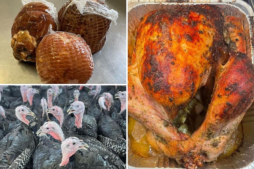 Jackpot: How to Buy A Farm Fresh Turkey for Thanksgiving