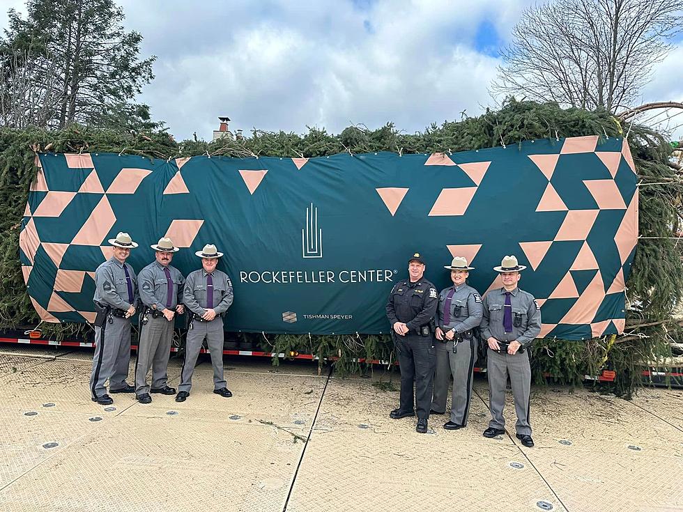 Rockefeller Christmas Center Tree Passes Through Hudson Valley