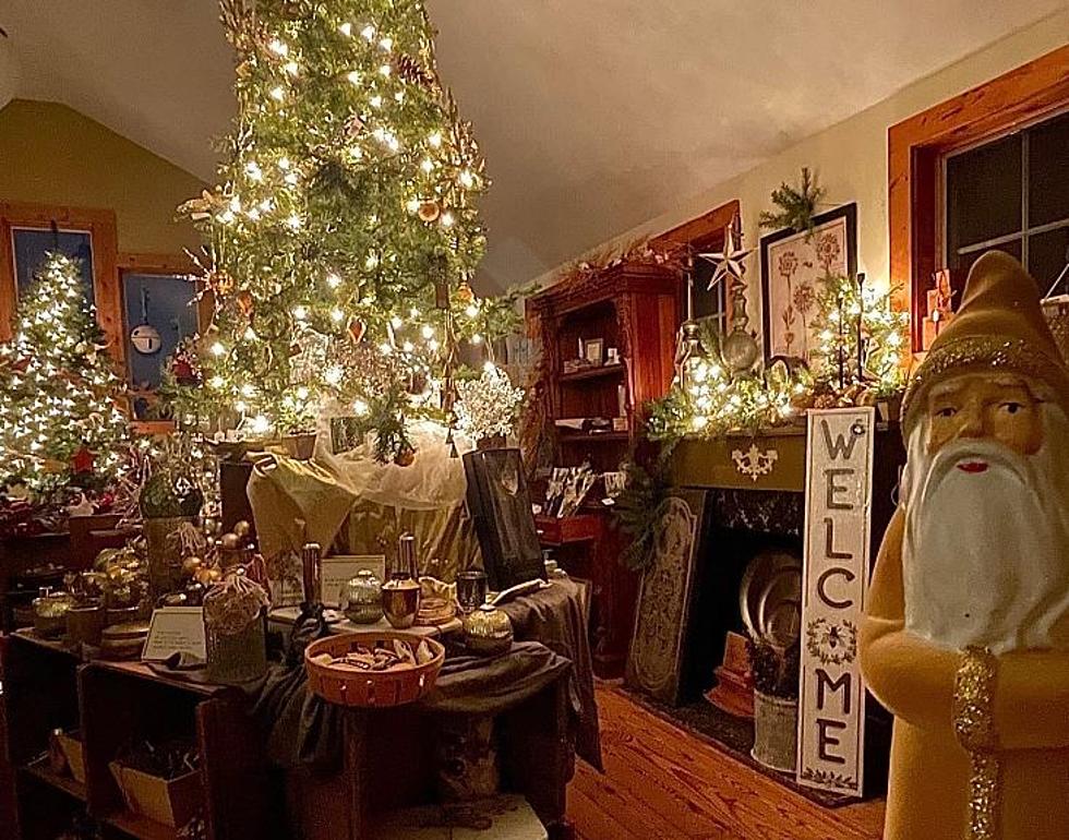 Vintage Women And Their Mid-Century Christmas Trees - House Crazy Sarah