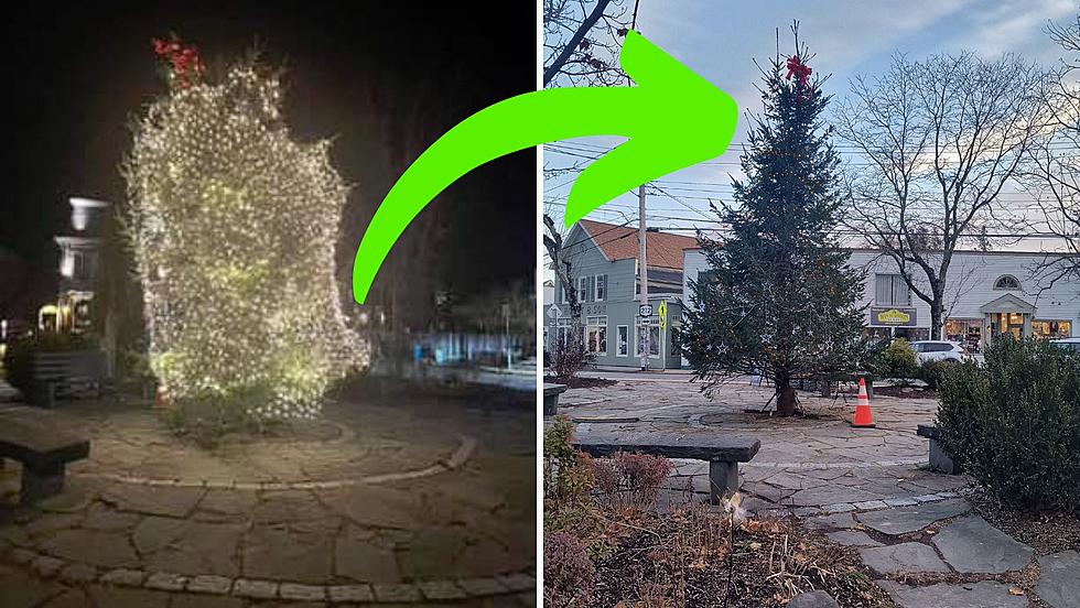 Woodstock NY's Christmas Tree Receives a Stunning Transformation