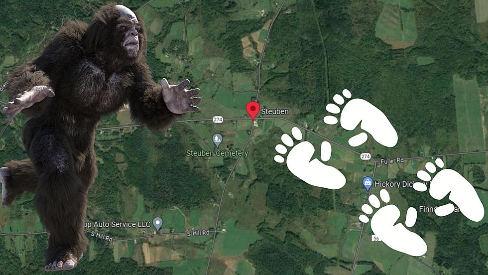 Upstate Deer Hunter Spots Possible Bigfoot in Steuben, NY