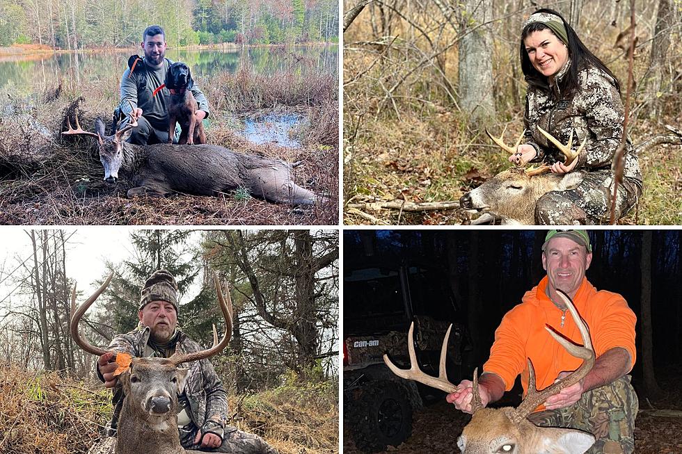 The Wolf Rack Gallery: New York Hunters Share Their Photos