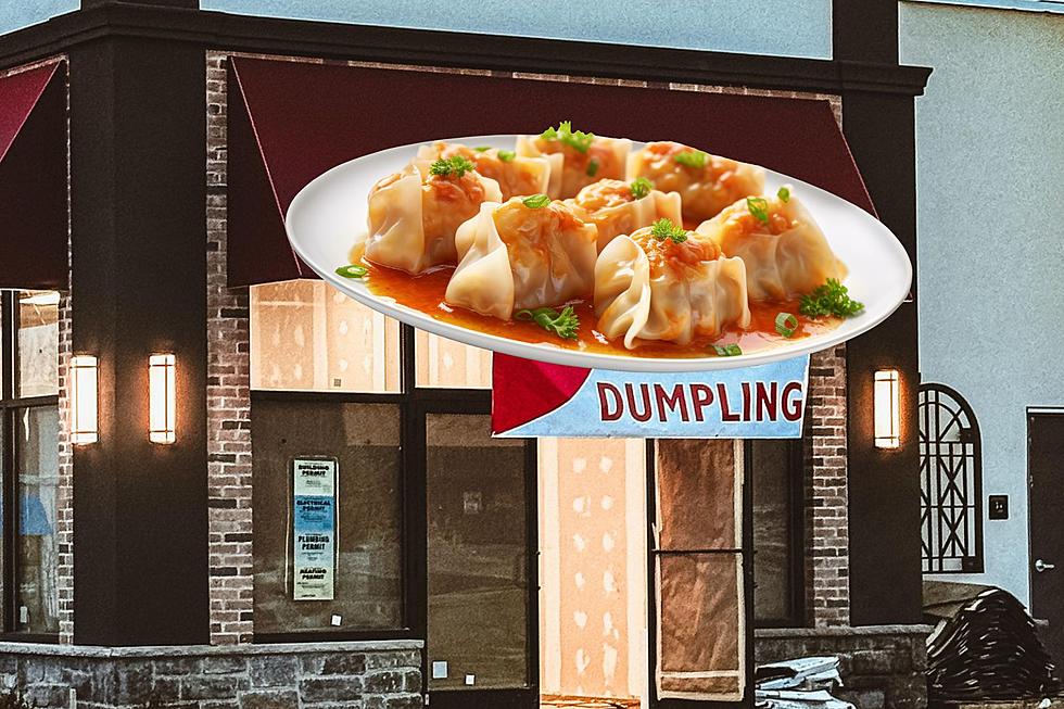 New Hot Spot for Dumplings Coming to Poughkeepsie
