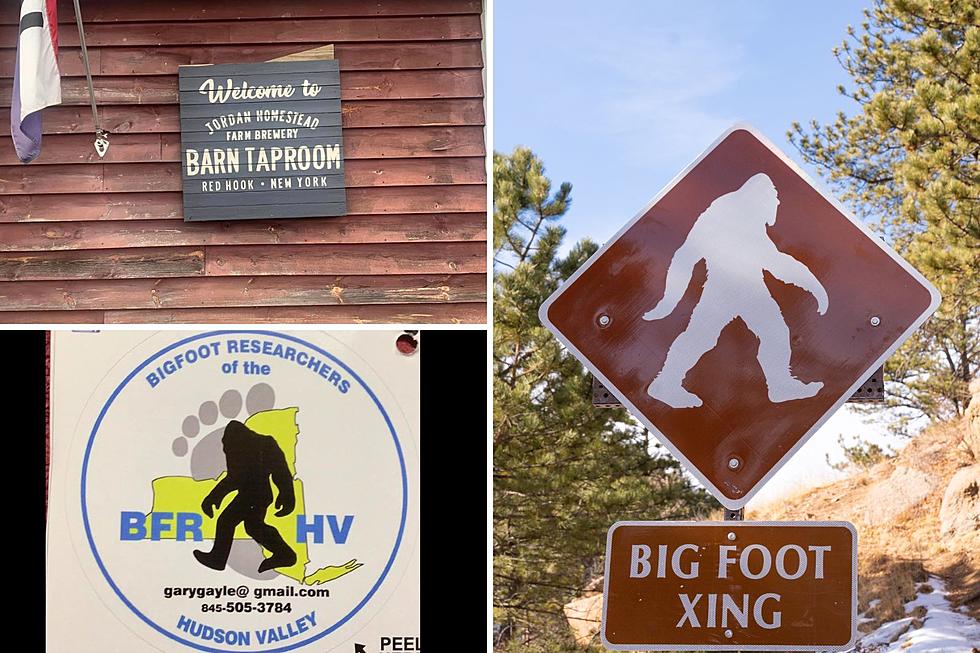 Researchers Will Share Bigfoot Findings at Brewery in New York