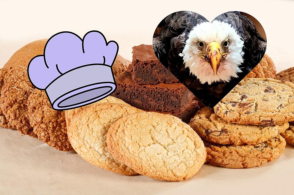 Bakers Needed for the Coldest Bake Sale in the Hudson Valley