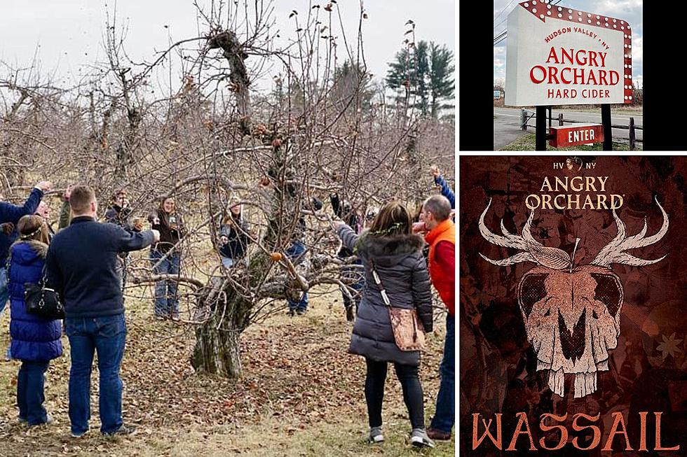 Why People Will Sing to Apple Trees in Walden, New York