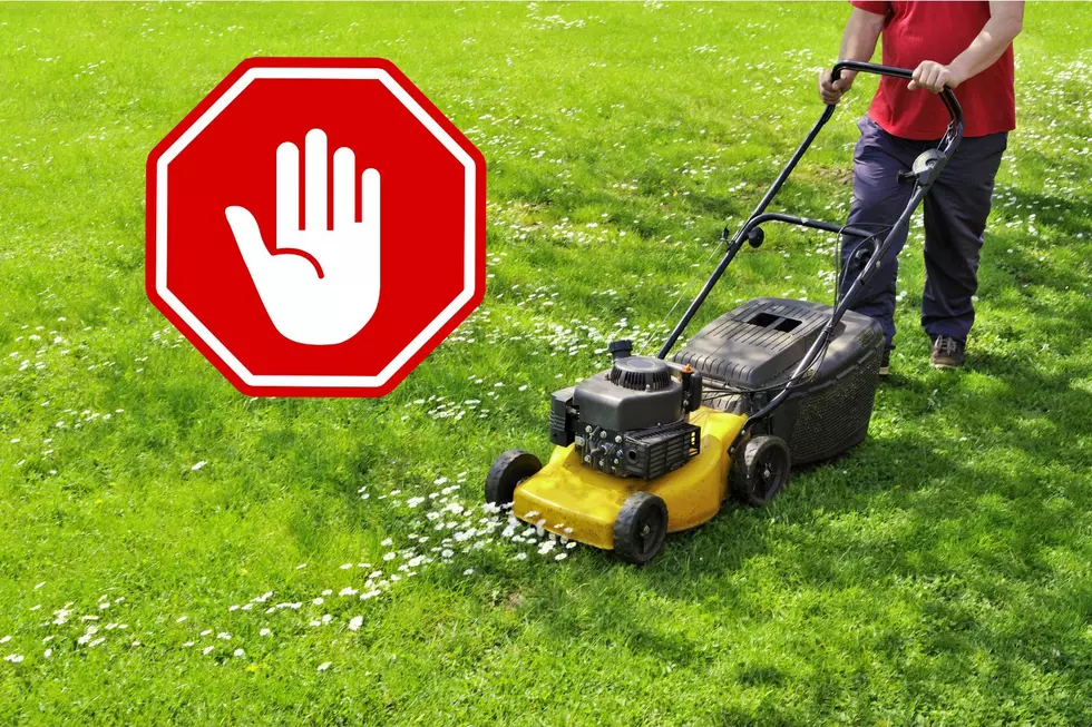 It’s Illegal to Mow Your Law Outside of These Hours in Parts of New York